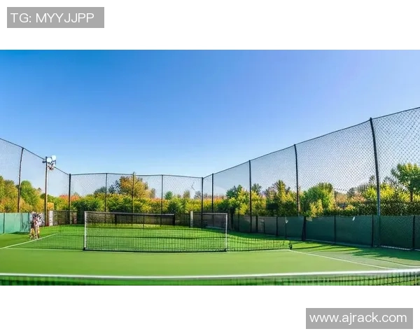 广州网球队荣登全国网球技术排行榜第九位展现实力与潜力