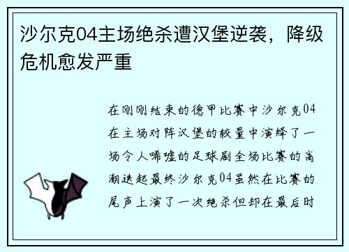 沙尔克04主场绝杀遭汉堡逆袭，降级危机愈发严重